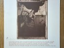 RARE PIXIES FIRST PRESSING (MATT FINISH) 12