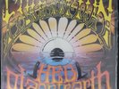 Hed Pe Evolution Vinyl