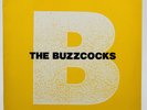 Buzzcocks - The Peel Sessions Album, Vinyl LP. UK 1st Press, Strange Fruit 1989