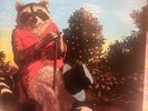 J.J. Cale - Naturally - SW8908 - 1971 - NM/VG
