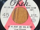 RARE NORTHERN SOUL 45rpm RECORD - TAN GEERS - OKEH ORIGINAL  LET MY HEART AND...