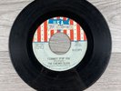 The Cherry Slush I Cannot Stop You / Don’t Walk Away 45 RPM PROMO 7” Vinyl USA