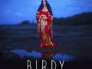 Birdy Beautiful Lies (Vinyl) 12
