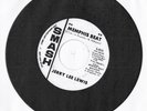 Vintage 1966 JERRY LEE LEWIS 45 Smash Records Promotional 'Memphis Beat'