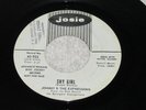 Johnny & The Expressions - Shy Girl - Josie 955 - PROMO / soul / M- / LISTEN
