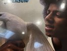 The Best Of Michael Jackson -  12