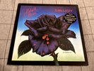 Thin Lizzy [EX TO NM] ORIGINAL VINYL LP Black Rose