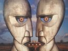 Pink Floyd The Division Bell 25th Anniversary Ed. Blue Vinyl *BRAND NEW**SEALED*