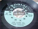 Ruby Andrews - Northern Soul Monster - Just Loving You / The Love I Need- Listen