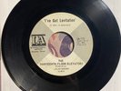 1967 Thirteenth Floor Elevators - I've Got Levitation - IA-2012 Psychedelic 7”