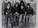 RAMONES S/T SIRE SR6020 US US REISSUE INNER SLEEVE SIDE A:SRC VINYL LP
