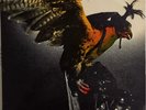 Budgie- In For The Kill  /MCA Records MCF 2546/ 1stPRESS UK 1974