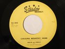 STARDAY 308 HARLIN AND STANLEY Carolina Mountain Home    VG  Bluegrass