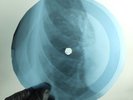 ROLLING STONES RIDE ON BABY X-Ray USSR Record Roentgen Bone Ribs Music Vinyl