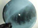LED ZEPPELIN WHOLE LOTTA LOVE X-Ray USSR Record Roentgen Bone Ribs Music Vinyl
