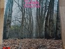 Twink LP Think Pink German Polydor 1st Press INCREDIBLE COPY & FAULTLESS AUDIO