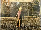 The Allman Brothers Band Brothers And Sisters Vinyl Record Album Capricorn 1973