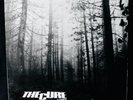 THE CURE:  A Forest Rare Post Punk Rock 12