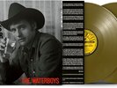The Waterboys - Life, Death and Dennis Hopper New 2 Vinyl LP Burnt