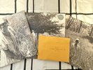 folklore variants [bundle of 3: in the weeds, betty’s garden, hide & seek]