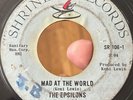 RARE Northern Sweet Soul Shrine 45 THE EPSILONS Mad At The World g+* WASH DC