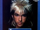 Limahl - The NeverEnding Story Maxi (VG+) '