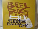Reel Big Fish - Turn The Radio Off 2xLP Deluxe Vinyl, TEST PRESSING, VERY RARE