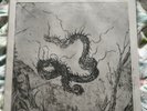 Nadra Lp, Mispyrming, Svartidaudi, Mgla, Cult Of Fire, Fortetesse