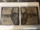 MY CHEMICAL ROMANCE . FAMOUS LAST WORDS . VERY RARE . VINYL 2 x PICTURE DISC SET