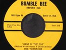 TORNADOS: love in your life / geni in the jug BUMBLE BEE 7