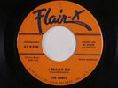 Doo Wop/R&B Sax Rocker 45 ORBITS I Really Do FLAIR-X HEAR d