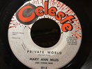 Mary Ann Miles Private World /Without Someone To Love 45 Rare Northern Soul Hear