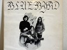 Bluebyrd - Self Titled 1975 Vinyl LP Rare Soft Psych Private Press W/ Insert VG