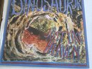 Dinosaur Jr Just like Heaven UK Press Etched 12