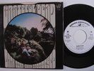 Rock 45 GRATEFUL DEAD Dark Star WARNER BROS VG++ promo picture sleeve HEAR d