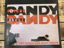 The Jesus And Mary Chain ‎– Psychocandy 2004 LP Vinyl Record Re-Issue