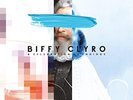 Biffy Clyro A Celebration Of Endings LP Album Vinyl Schallplatte 142