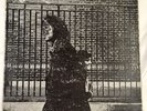 Rare NEIL YOUNG After The Gold Rush Red Letter Cover REPRISE LP Record gatefold