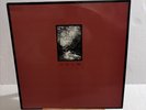 CALM self titled Rare Emo Duster Mohinder  Vinyl LP  Excellent Condition Punk