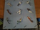 PLEASURE -  JOYOUS - ORIGINAL PROMOTIONAL COPY USA FANTASY LP 1977