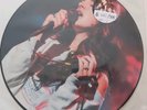 LANA DEL REY ITUNES FESTIVAL 2012 LTD EDITION  PICTURE DISC VINYL