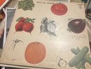 The Best Of Cream Vinyl LP NM/EX 1969 1st U.S. Pressing Greatest Hits Clapton
