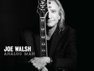 New: Analog Man, Joe Walsh - Vinyl