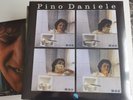 PINO DANIELE - PINO DANIELE - LP 33 GIRI - 12