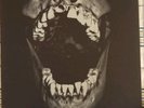 Bizarre Uproar / Deathkey - Split Vinyl LP Audial Decimation Intolitarian