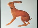 Vashti Bunyan – Lookaftering, 	 2 x Vinyl, LP, Limited Edition, 2025