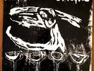 Rites of Spring - Debut LP - Dischord #16 harDCore punk - 1985 First Press - NM
