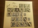 The Staves - 