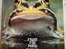 FROGGIE BEAVER - From The Pond - 1973 Prog Rock DSI 7301 - VG+ Vinyl LP