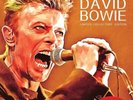 DAVID BOWIE = In Memory Of  = VINYL LP ALBUM = GLAM ROCK CLASSIC ROCK POP